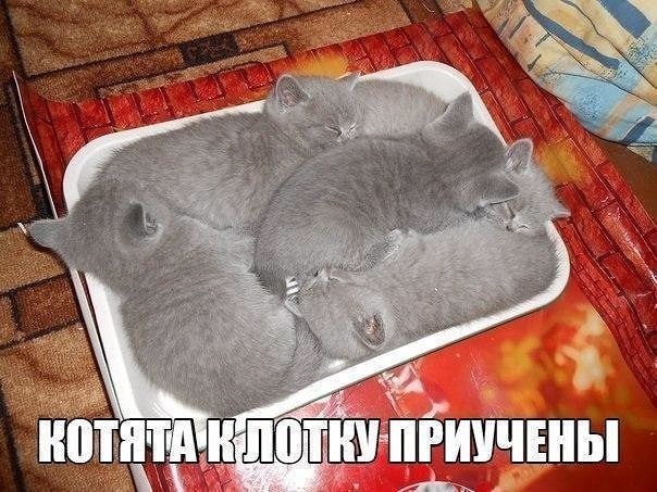 Анекдот о находчивом муже