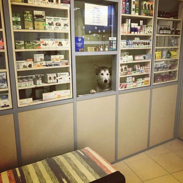 Анекдот про странные вещи