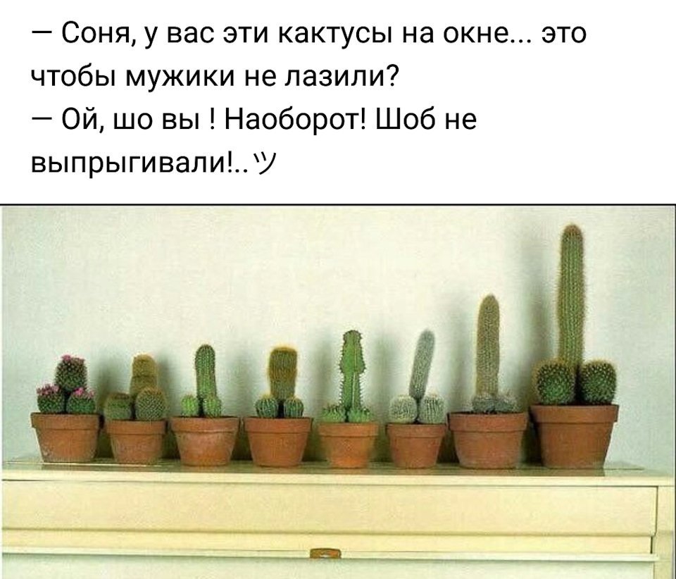 Анекдот про примерную бабушку