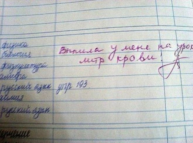Будни учителей: 15 записей в школьных дневниках!