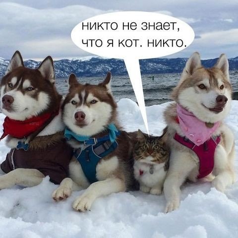 Анекдот про бабушку