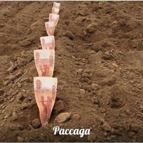 Анекдот про чувство юмора