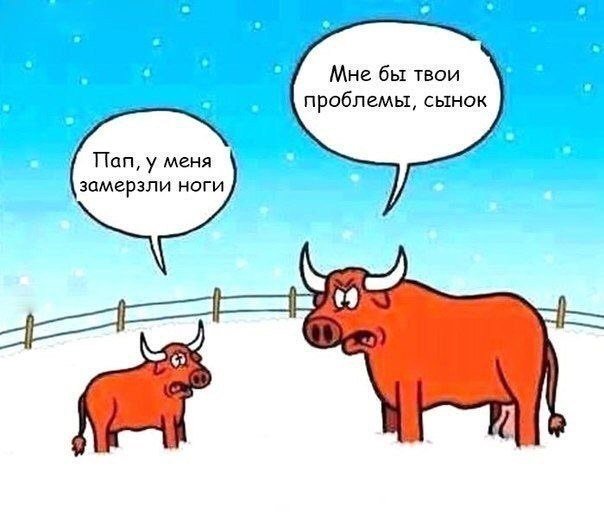 Реальная история про малыша
