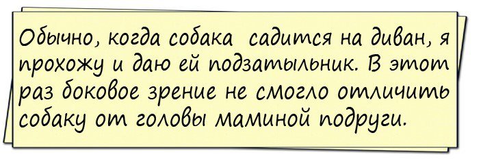Анекдот про двух собак