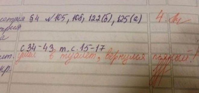Будни учителей: 15 записей в школьных дневниках!