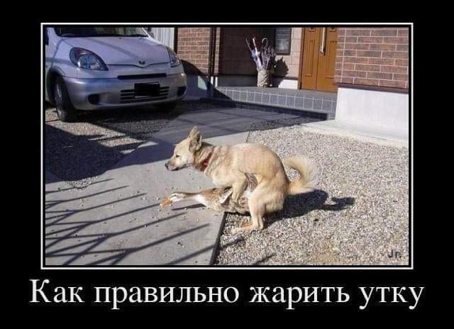 Крутой анекдот про рай