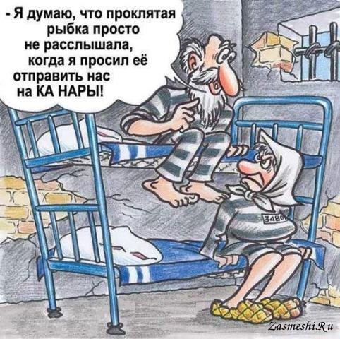 Анекдот про то, как сын отца сдал