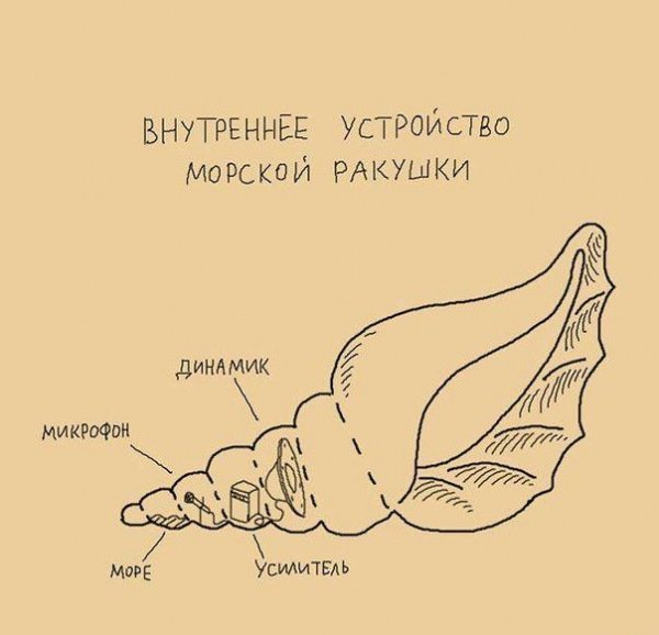 Реальная история о рассылке