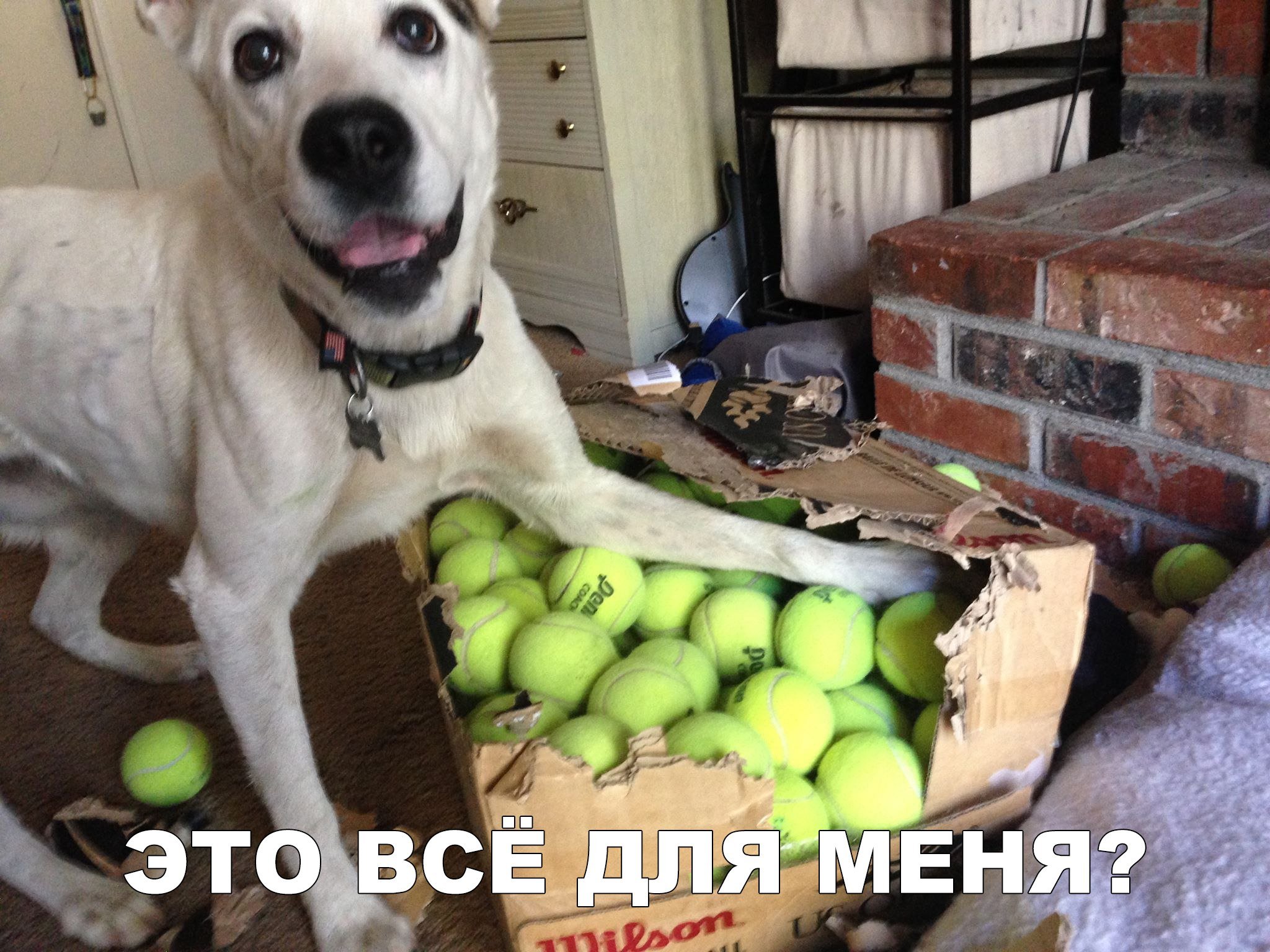 Отличный анекдот про детей