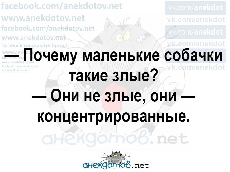 Анекдот про собачек