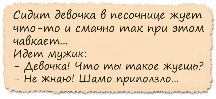 Анекдот про медведя и бабулю