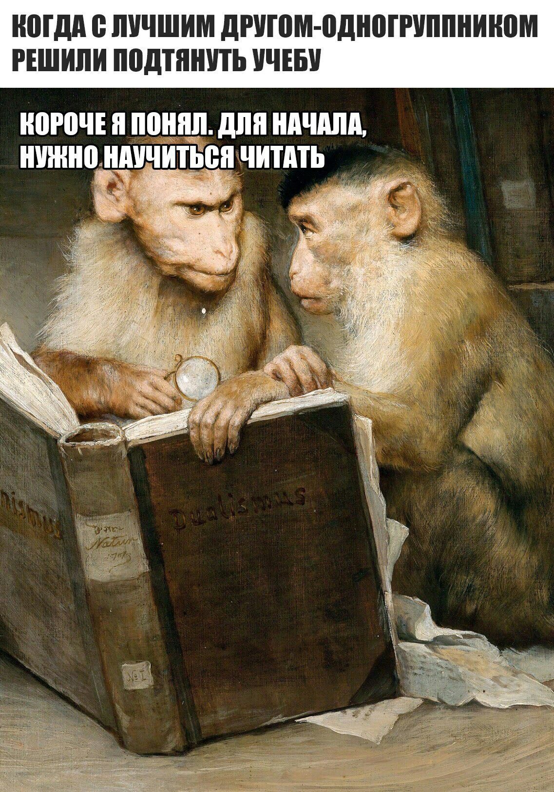 Анекдот про нежную даму