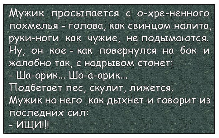 Анекдот про Шарика