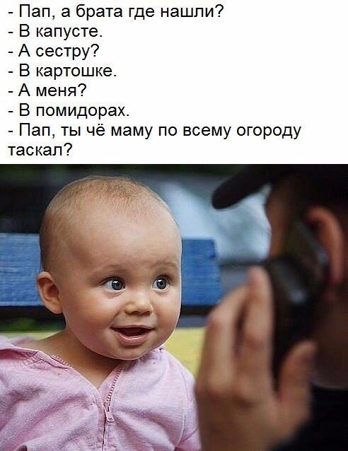 Анекдот про собачек