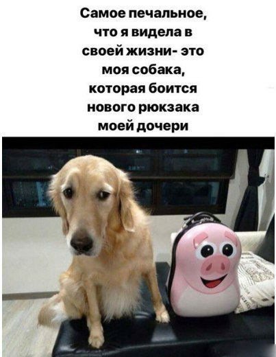 Анекдот про добрую жену