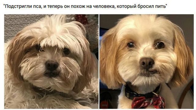 Реальная история про скромного парня