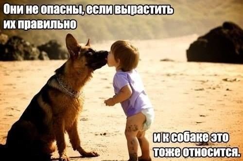 Анекдот про особые случаи