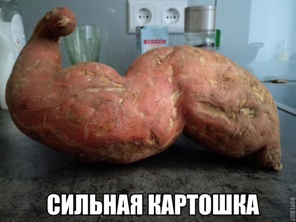 Анекдот про любителя музыки