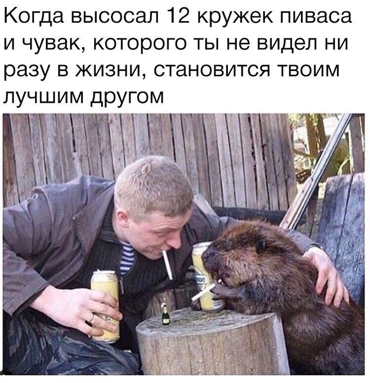 Анекдот про молодожен