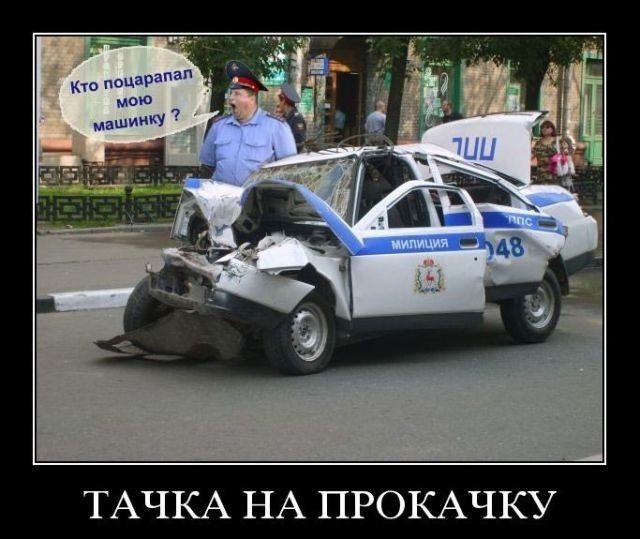 От смеха уже начинает болеть живот!