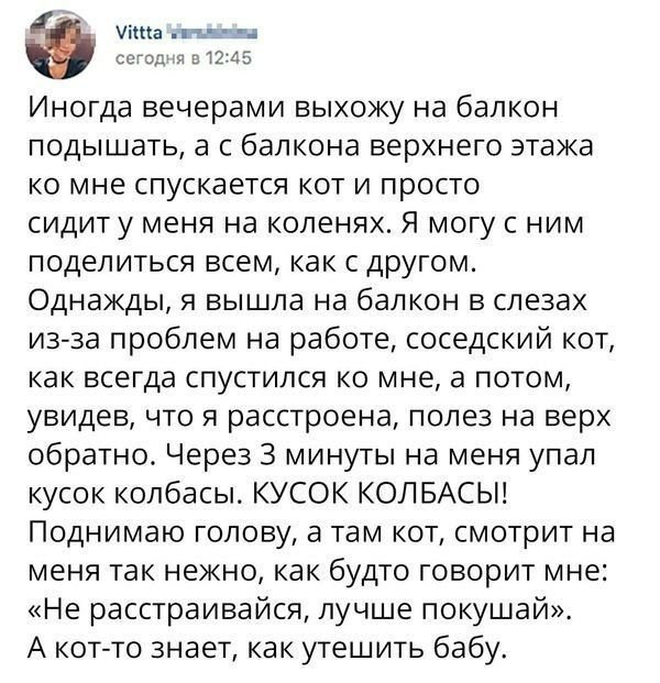Анекдот про студентов