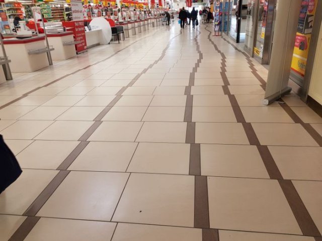 Анекдот про жизнь в лесу