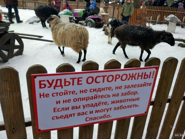 Анекдот про армейские будни