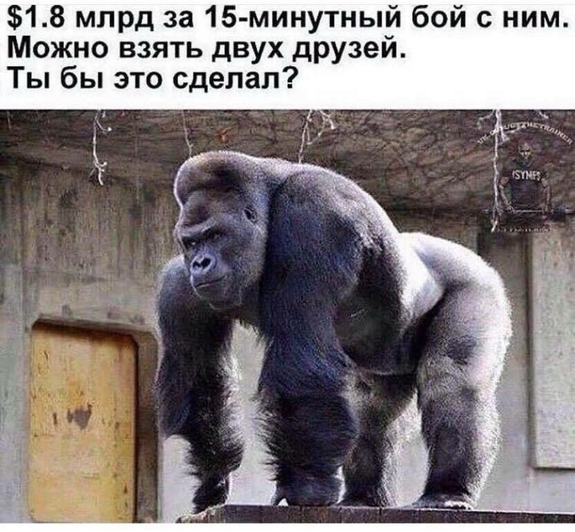 Анекдот про первую брачную ночь