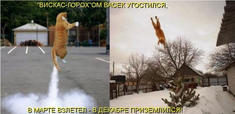 Анекдот на злобу дня