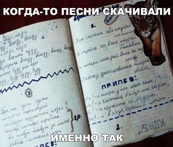 Анекдот про любителя музыки