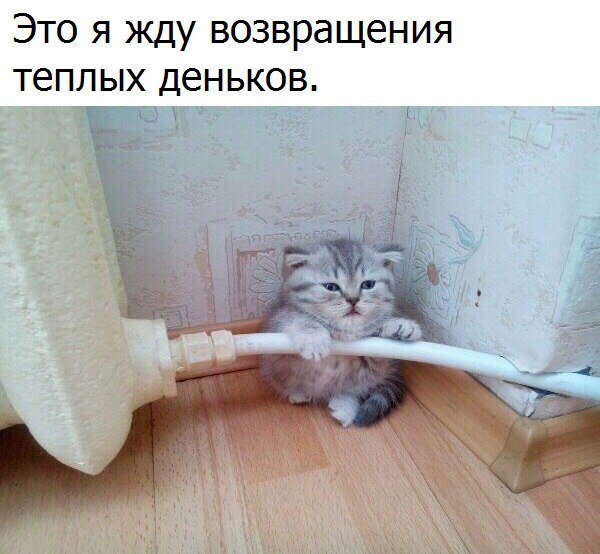 Крутой анекдот про рай