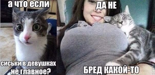 Анекдот про особые случаи