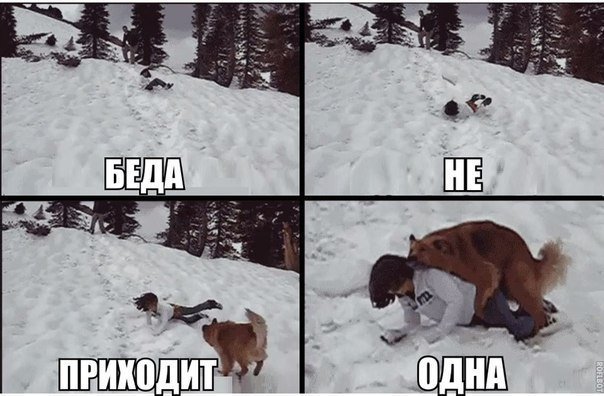 Анекдот про студенческие будни