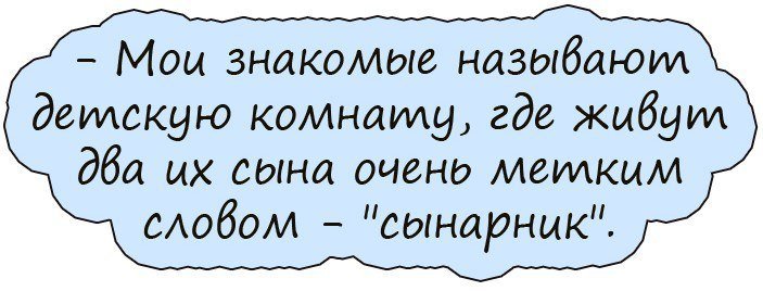 Анекдот про инспекции