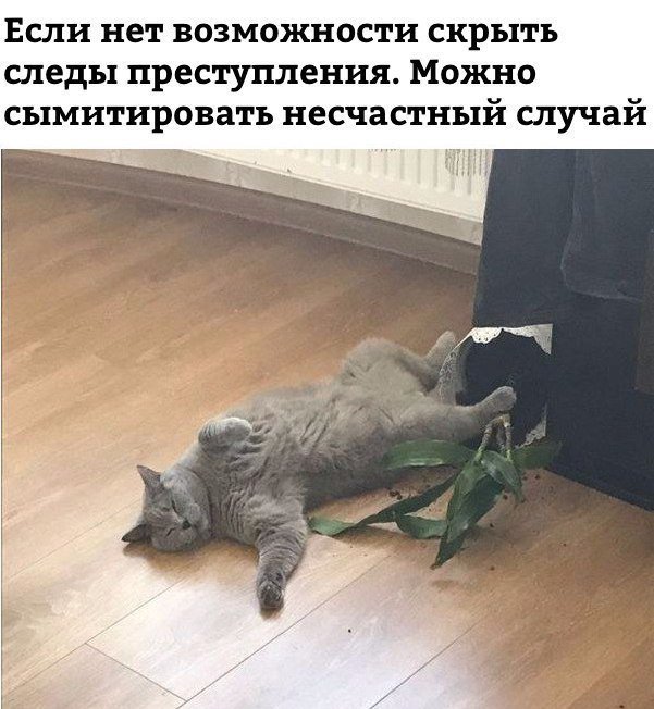 Крутой анекдот про рай