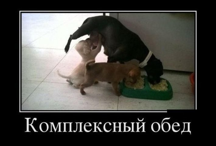 Анекдот про умную бабку