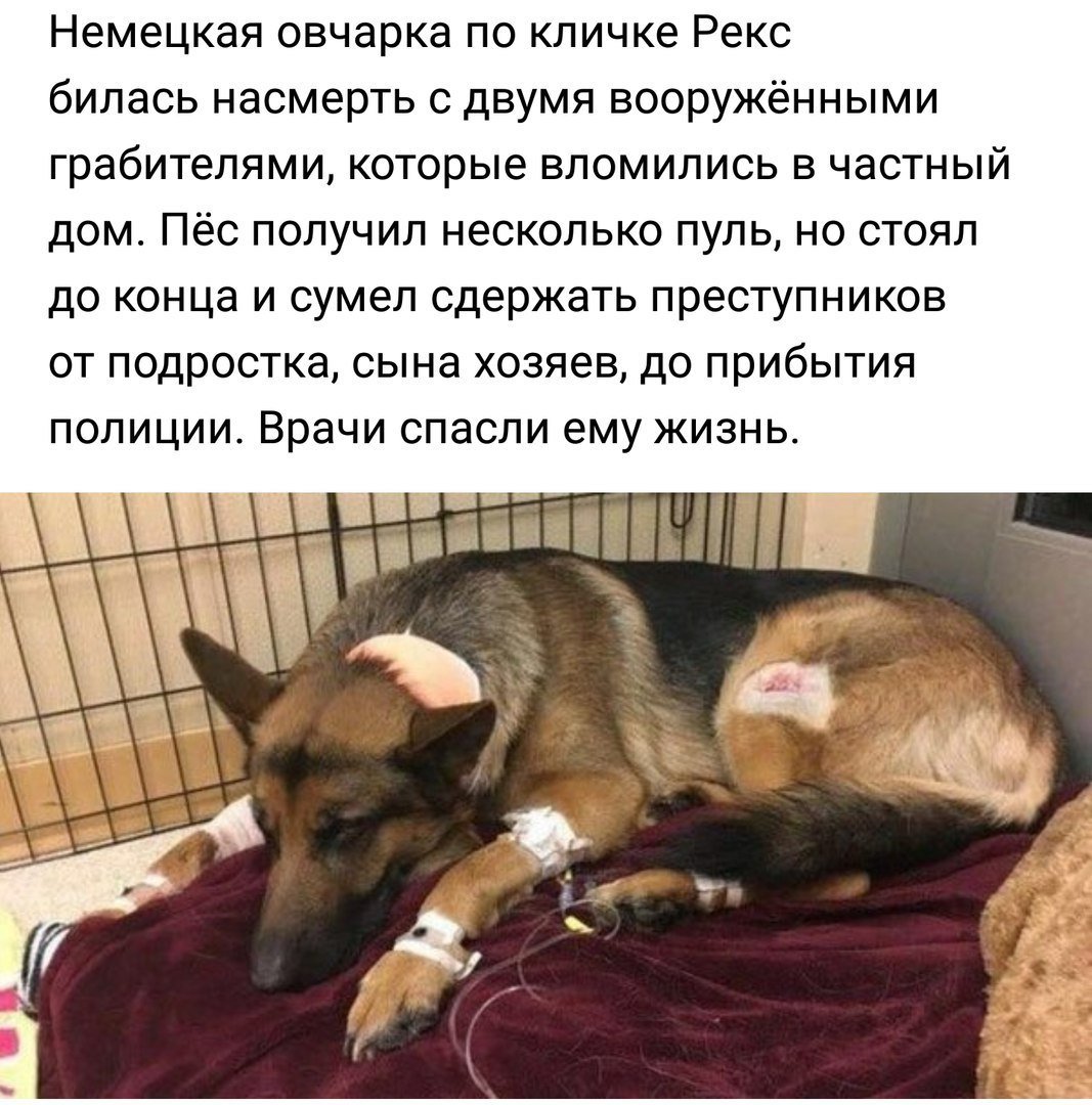 Очень смешной анекдот про сложные фамилии