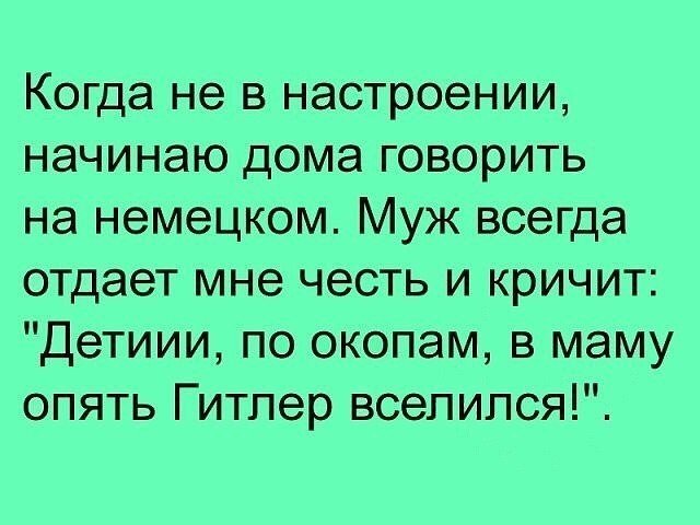 От смеха уже начинает болеть живот!