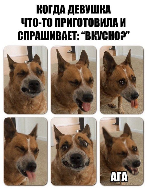 Анекдот про нежную даму