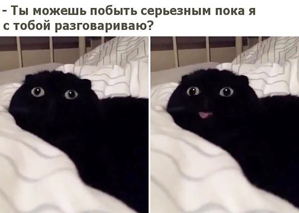 Анекдот про новое платье