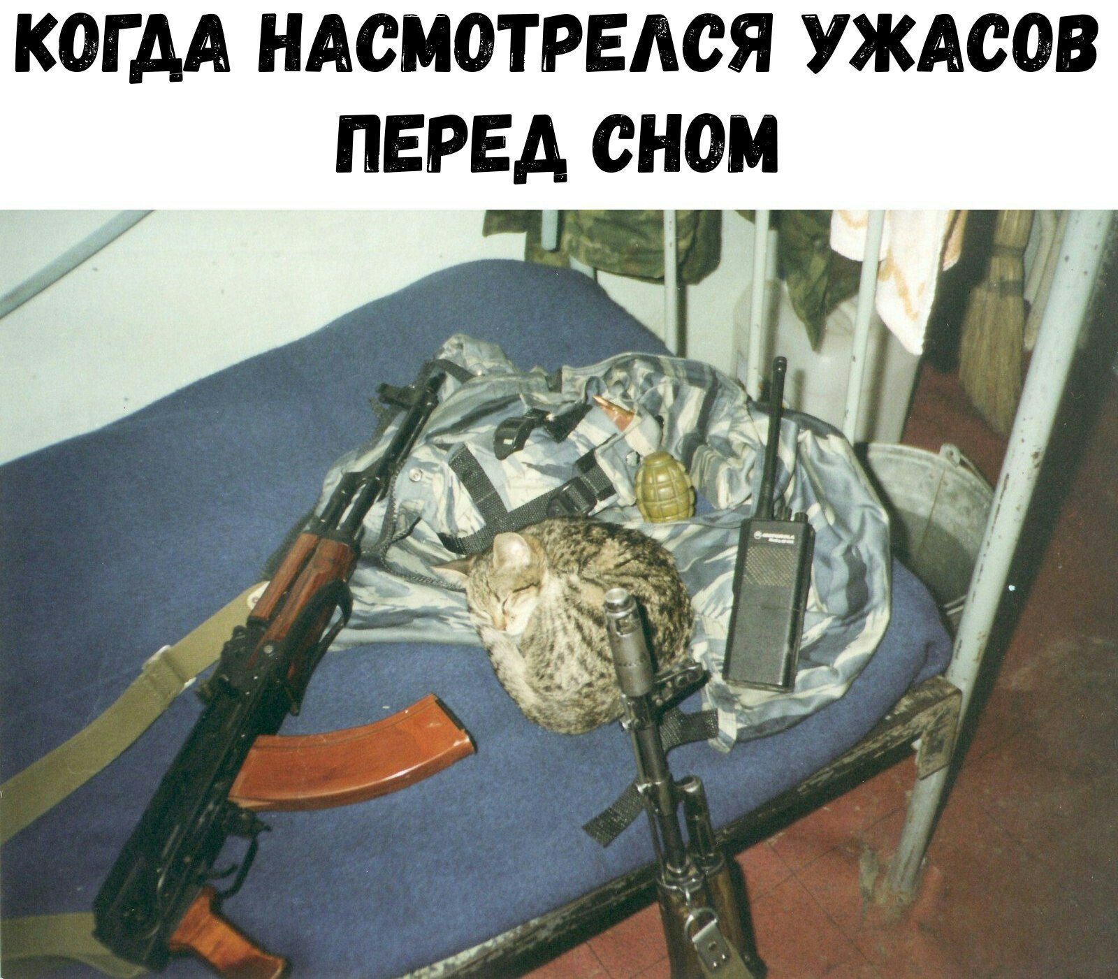 Анекдот про нежную даму