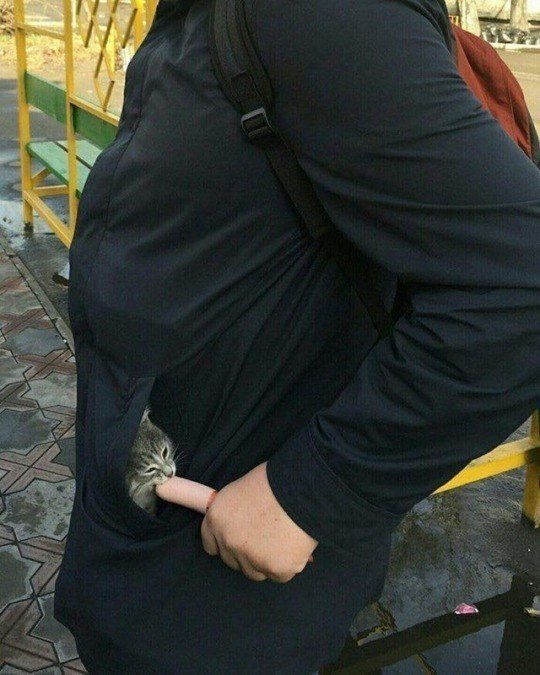 Анекдот про парня