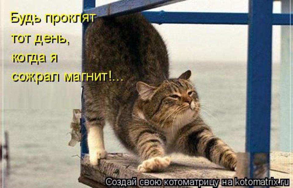 Анекдот про уроки труда