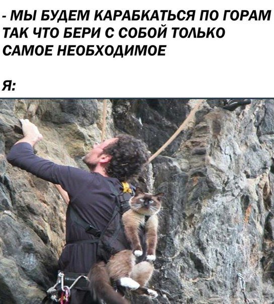 Анекдот про японские автомобили