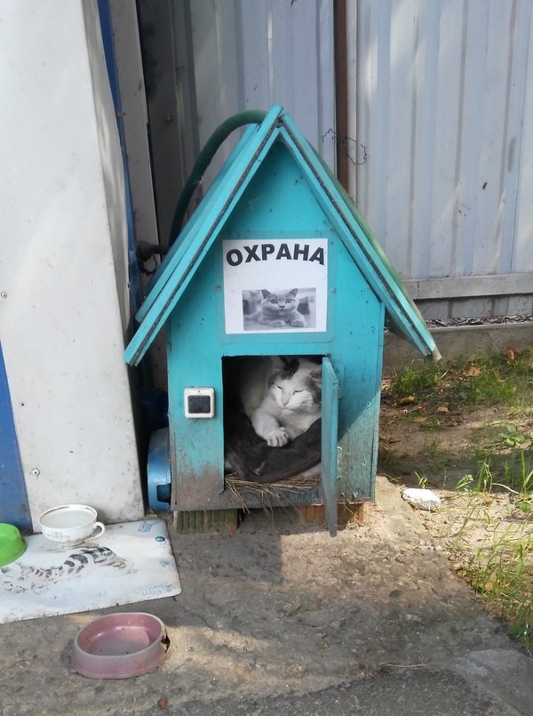 Анекдот про парня