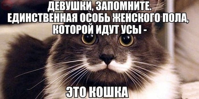Анекдот про медсестру