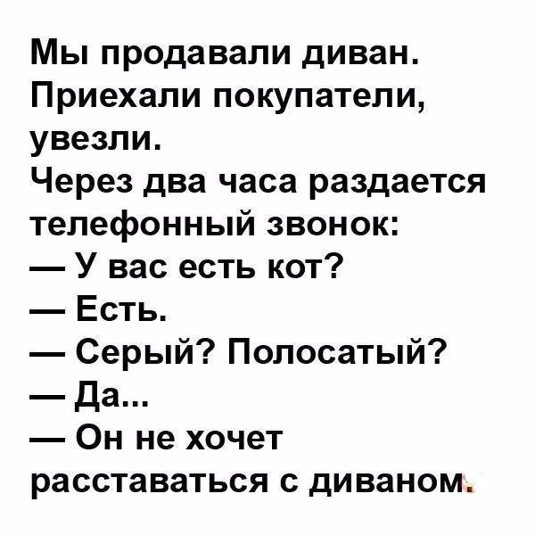 Анекдот про девицу