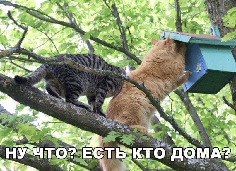 Смешной анекдот про байкеров
