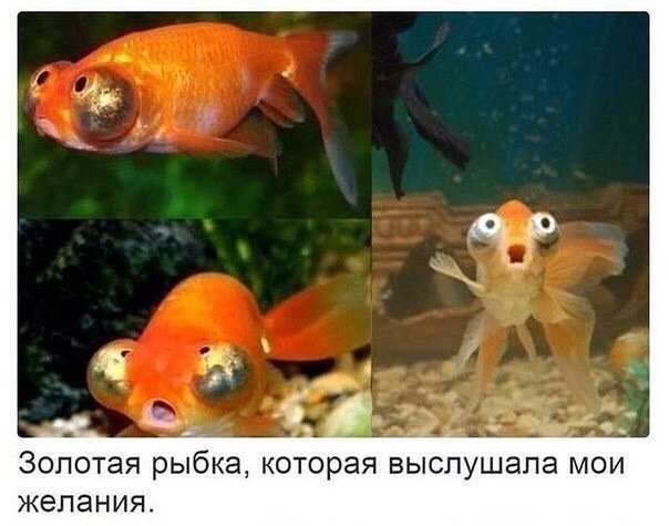 Анекдот про загадки