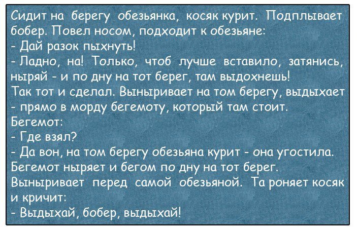 Анекдот про планы на выходные